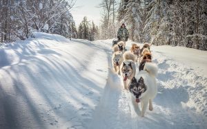 Municipalité de Girardville; Projet domiciliaire; Girardville Québec; tourisme d'aventure; camping Girardville